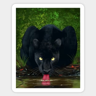 Black Panther Drinking Water Sticker